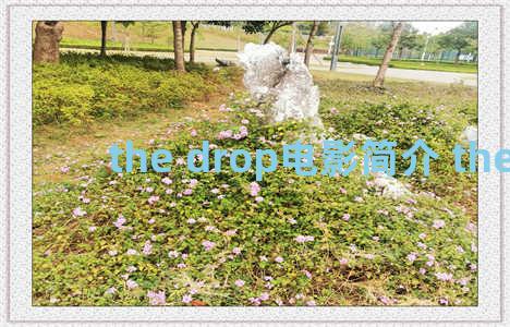 the drop电影简介 the drops
